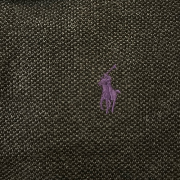 Polo Ralph Lauren Signature Embroidered Pony Crewneck Sweater - Picture 3 of 6